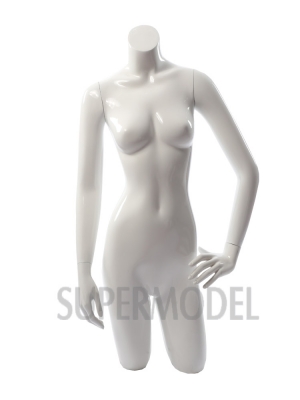 Half Body Mannequin Torso