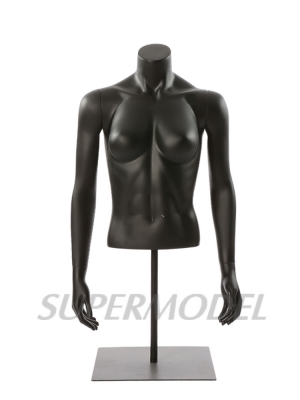 Female torso mannequin